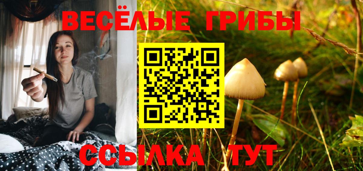 Псилоцибиновые грибы ЛСД  Вход с VPN  Кизляр 